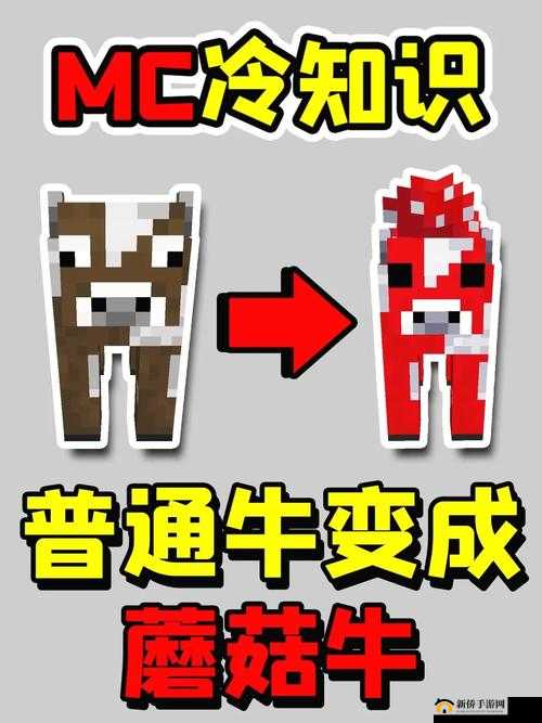 我的世界蘑菇牛喂养全面指南，深入揭秘其独特饮食偏好与喂养技巧