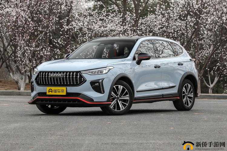 国产 SUV 精品一区二区 6：优质车型推荐