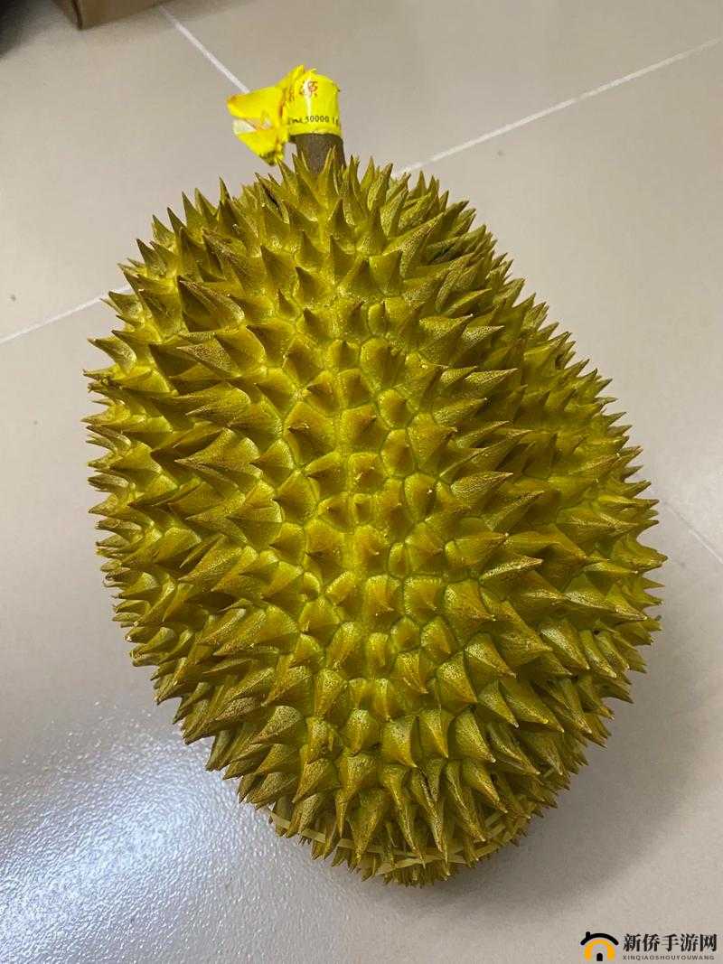 草莓丝瓜黄瓜向日葵榴莲：美味蔬果与独特水果的奇妙组合