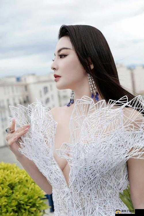 张雨绮人文艺术欣赏 PPT 怎么制作：详细步骤与创意指南