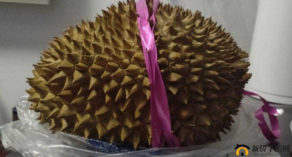 榴莲草莓芒果菠萝香蕉幸福宝：美味水果带来的幸福体验