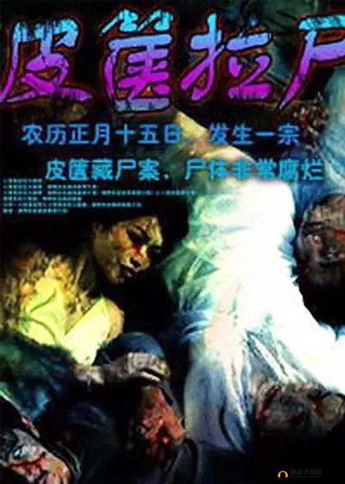YW193 龙物新地址：揭示神秘的未知领域