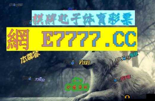 九幺免费版网站nbaoffice68：一个备受关注的体育资源平台