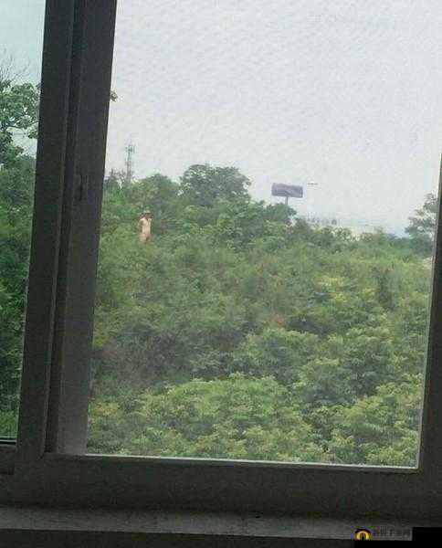 毛男裸男那令人瞩目的大屌相关内容探讨