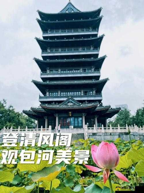 黄色网站人清风阁相关内容传播需谨慎莫要深陷其中