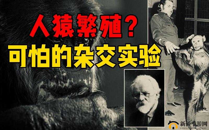 杂交 bUCsm 人类 ssbA：关于其相关研究与探讨的深入分析