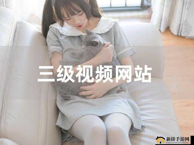请直接在三级艳黄免费看后添加：高清视频，免费观看