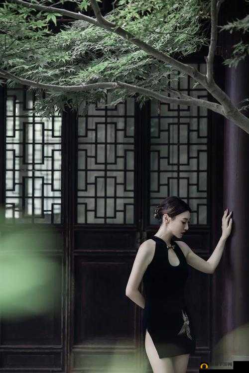 老师黑色双开真丝旗袍寓意：优雅与知性的完美融合