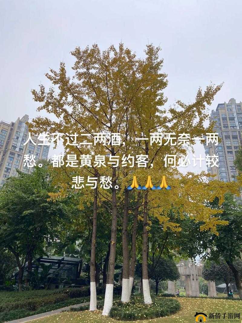 男人女人在一起愁愁愁很痛：探寻背后的情感纠葛与无奈