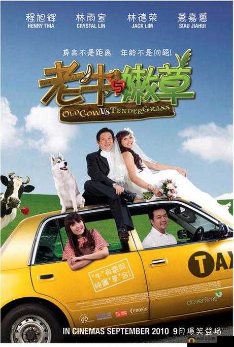 老牛嫩草一二三产品区别蘑菇视频版本升级完成：深度解析与功能优化