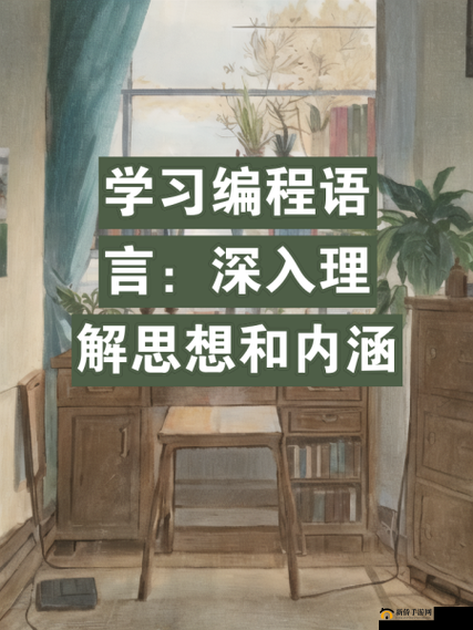 从后面是不是要紧一些：深入探讨其背后的意义与影响