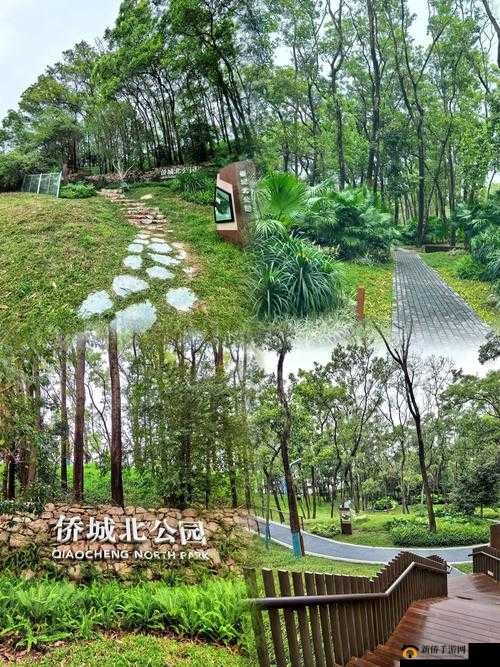 在秘密花园钻来钻去：一场充满惊喜的探索之旅