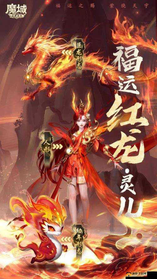 卡片怪兽红龙实战表现与红色彩砖卡攻略深度剖析解读