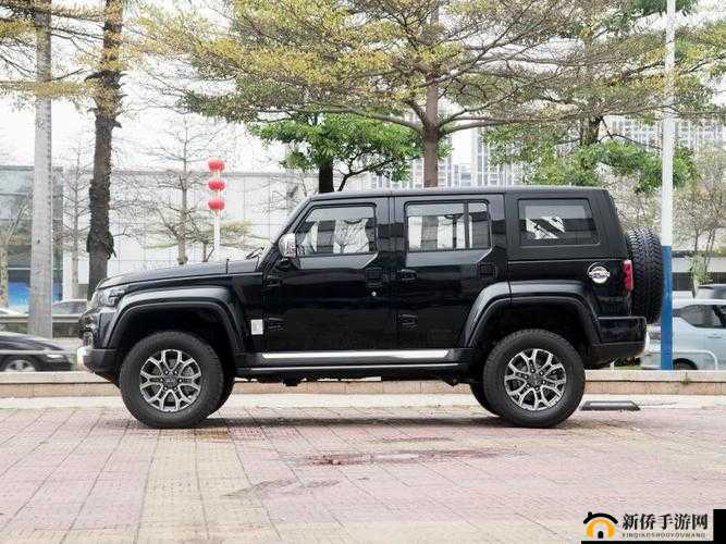 两个我 bj40 分钟：一场独特而引人深思的内心之旅