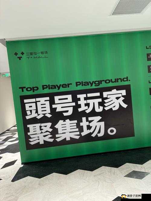 100 个被禁用的软件下载安装：探索未知的风险与挑战