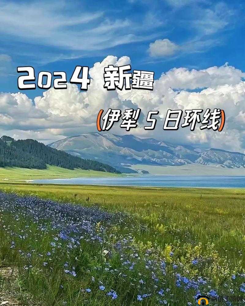 伊犁园区入口 2024：开启全新发展之门