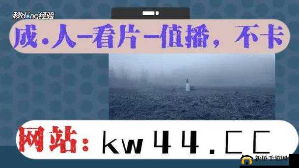 搞机 time 直接打开不用不收钱手机，畅享无限精彩