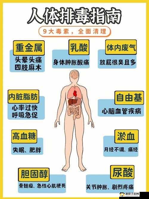 如何让大爷再帮你排排毒：排毒养生指南