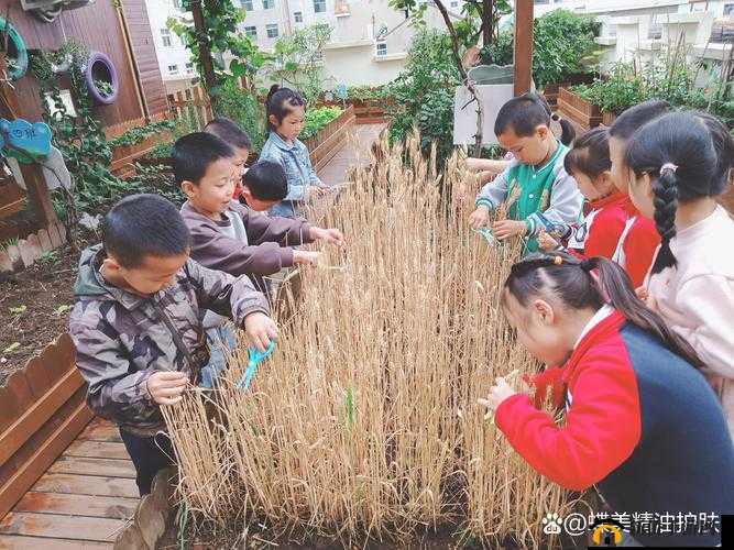 大手向下游走来到芳草地后在那片区域的奇妙探索与发现