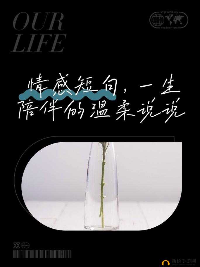 我会慢慢的很温柔的：愿用一生去陪伴你