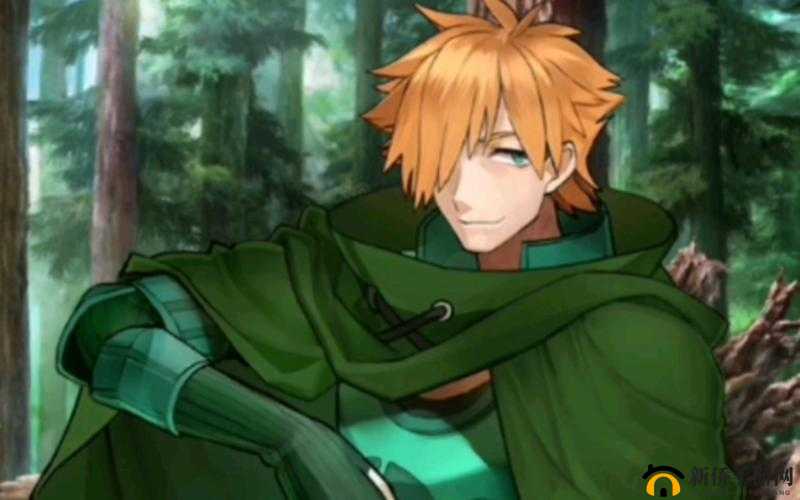 命运冠位指定FGO，深度解析罗宾汉蓝魔放羁绊礼装效能与特色点评