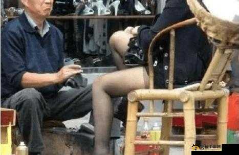 山东老头老妇 Tube：真实家庭故事的温情呈现