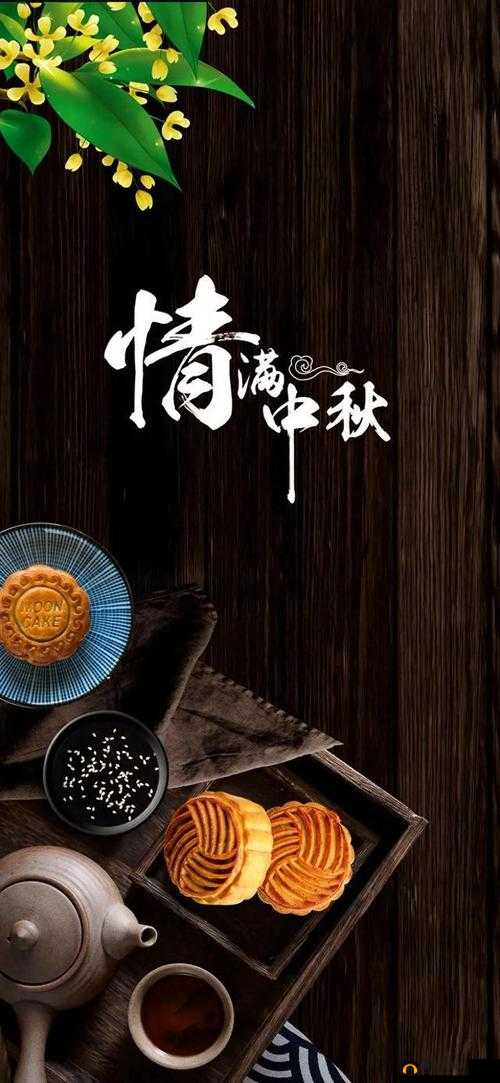 夏晴子沈娜娜中秋团圆 2024：共度美好佳节时刻