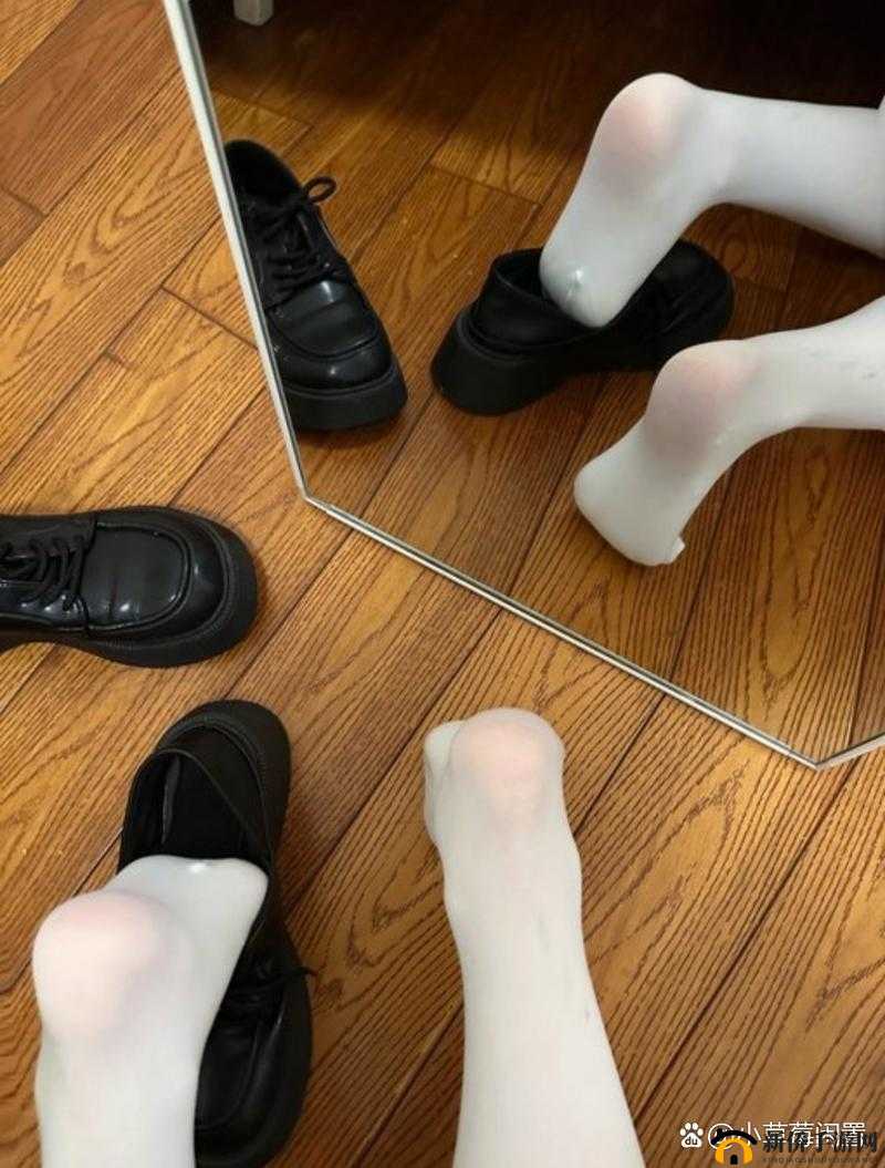 成人免费 XXX 网站脚：带你领略无限精彩的免费世界