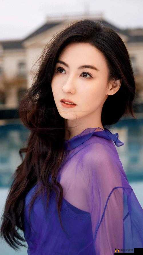 张柏芝照艳高清全集：经典之作，不容错过