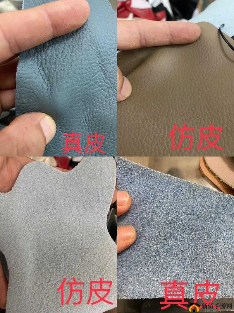 AAAA 级毛皮与普通 AAAA 的区别及特点解析