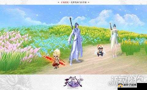 九州天空城3D，秘术师的魔法冒险之旅与个性化宠物选择策略