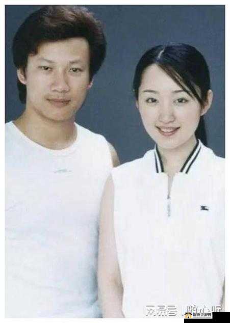 杨钰莹相关三级影视引发的争议与思考