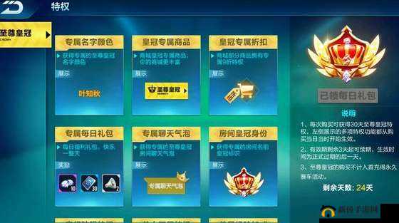 QQ飞车手游至尊皇冠特权详细解读，尊享专属福利与游戏内特权