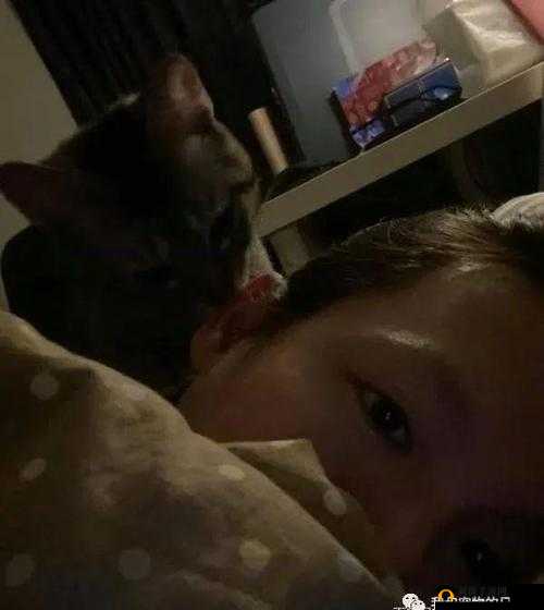 半夜装睡配合孩子进行阴阳调和的奇妙经历
