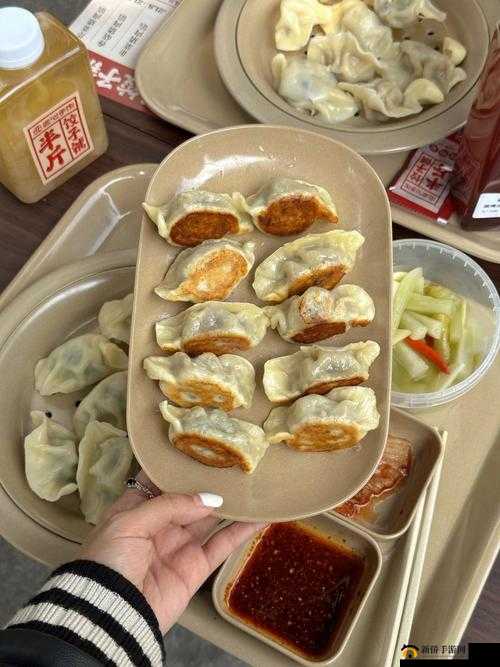 江教授要稳住肉馅小水饺视频：独特美食背后的故事与技巧