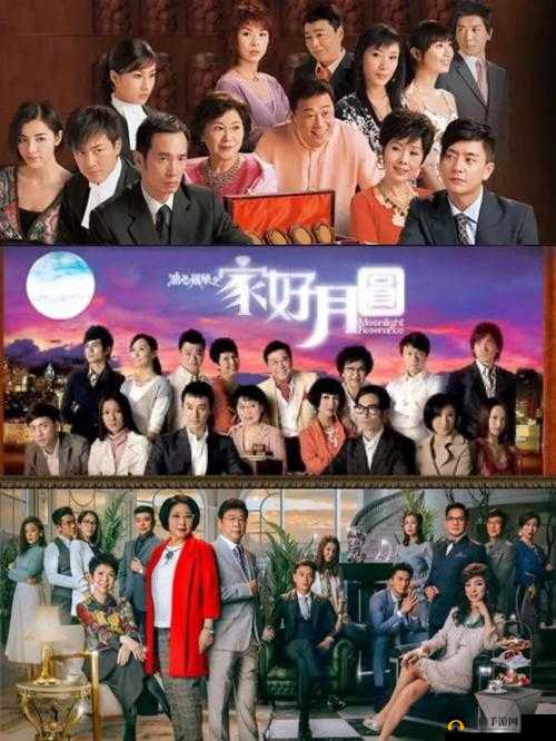 乱炖大家庭：温馨和谐且充满爱的欢乐集体