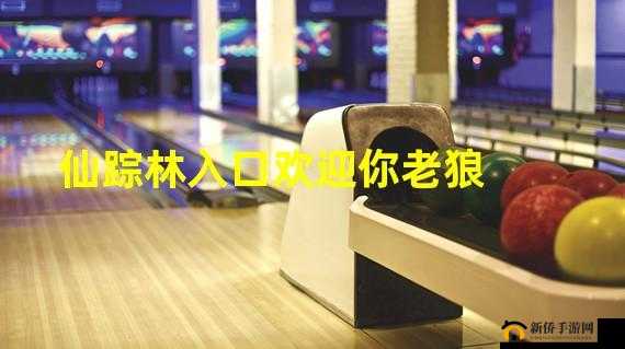 仙踪林老狼网站：探寻神秘之林的独特魅力