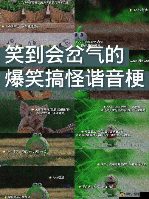 蘑菇屋首播引爆笑连连，观众皆笑岔气欢乐不停