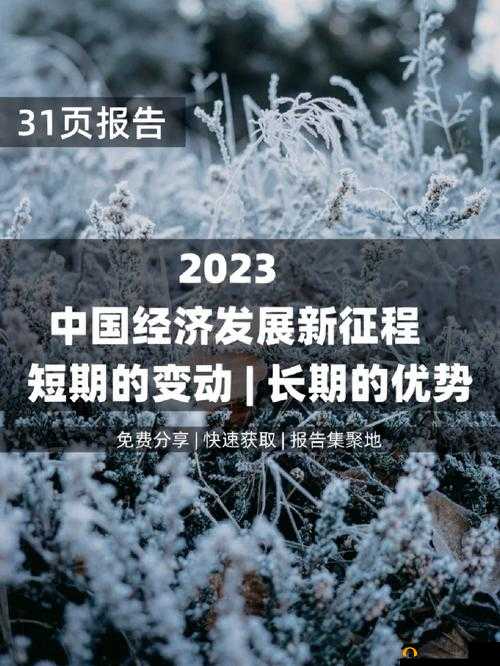 钙g同 2023：开启创新发展的全新征程与机遇