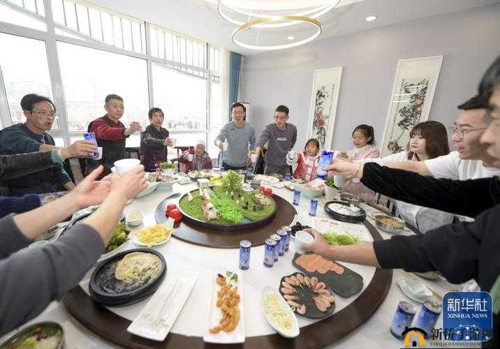 部长来家里吃饭在线看：一场特殊的家庭聚餐盛宴