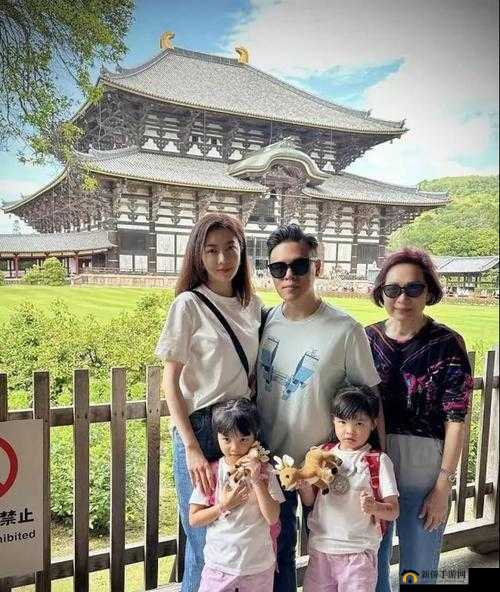 四口之家：夫妻与俩娃的奇妙换玩之旅