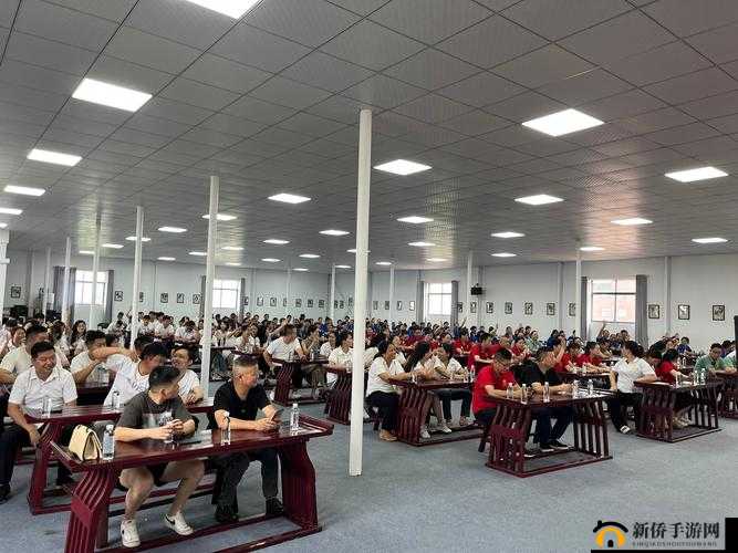 37 大但人文 comp ：深入探索其独特的文化内涵与价值