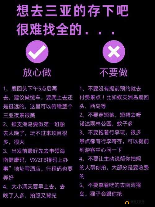 自 W 到高 C 的 25 种图：探索极致性体验奥秘