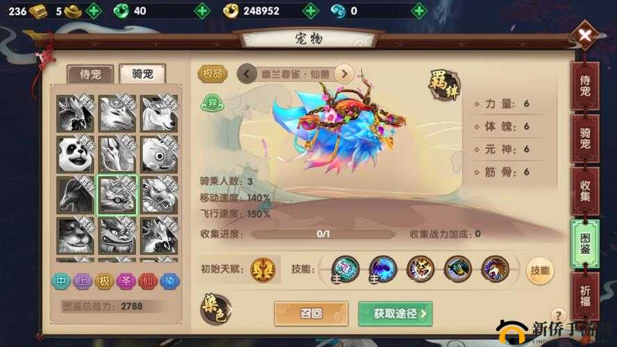 寻仙手游浮空岛高效捉宠策略，掌握技巧，轻松捕获稀有宠物