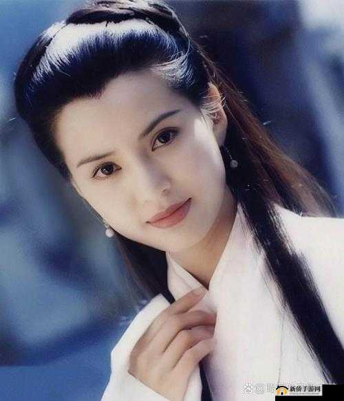 小龙女只感觉那只巨大的火龙：其震撼场景令人难以忘怀