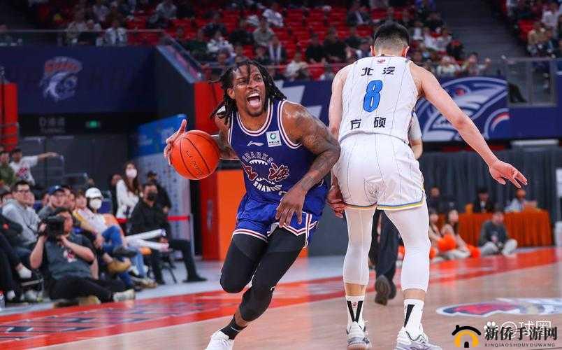 NBAJS 在线观看免费观看：畅享精彩篮球赛事之旅
