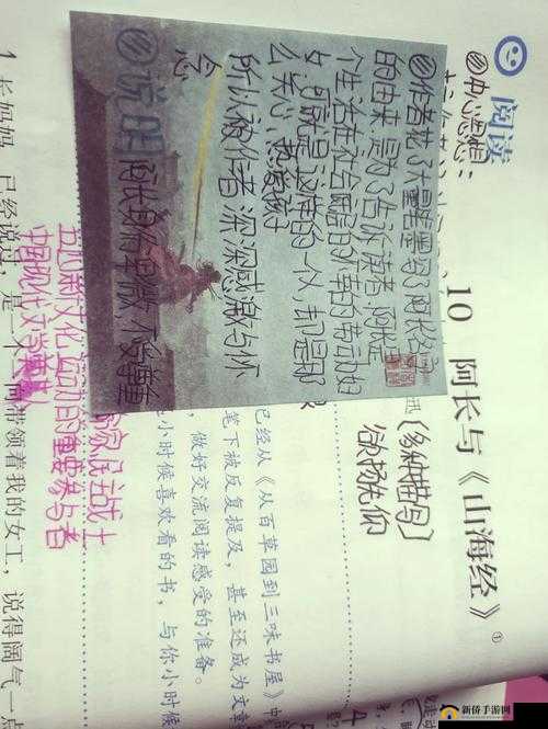 一个在上面一个在下做的奇妙对比与深度解析