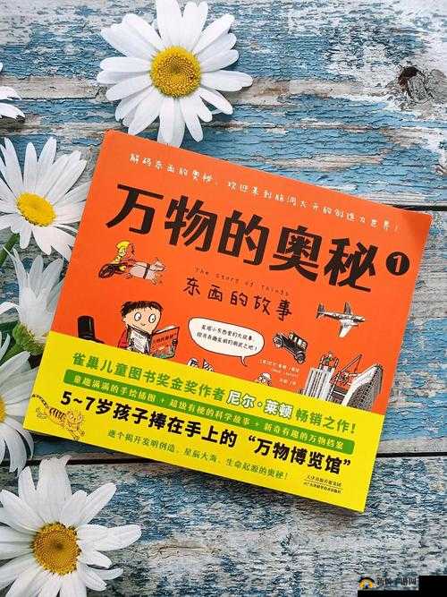 国精产品一区二区三区：探索未知的奇妙之旅