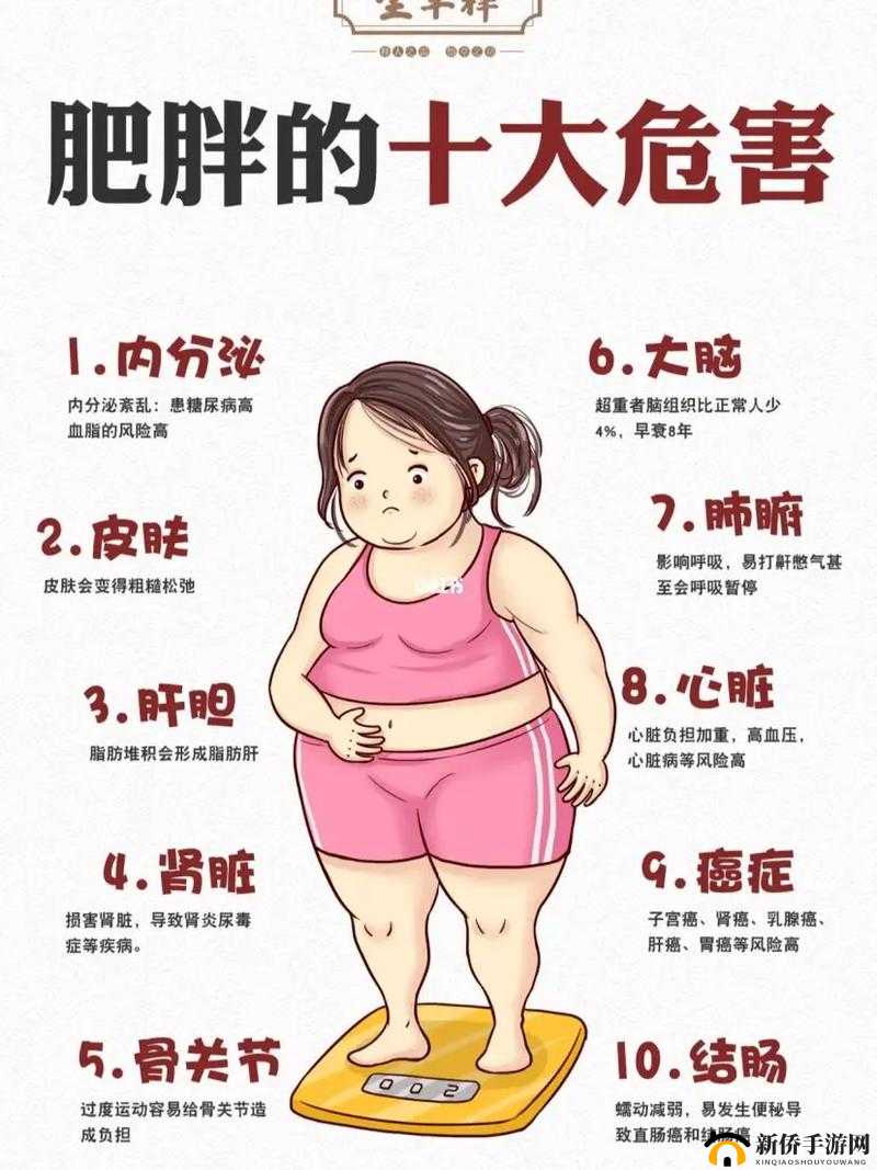 bbbbbxxxxx 肥胖：肥胖对健康的潜在危害探讨