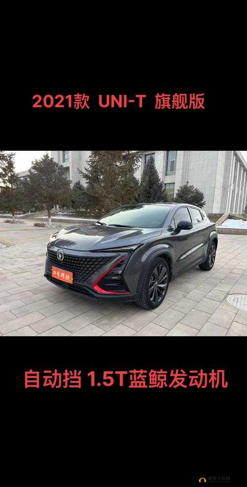 国产 SUV 精品 201：开启卓越驾驶体验的非凡之选